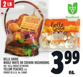 Metro BELLE GROVE WHOLE WHITE OR CREMINI MUSHROOMS offer