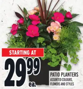 Metro PATIO PLANTERS offer