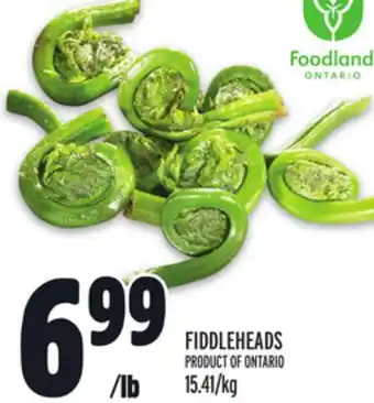 Metro FIDDLEHEADS offer