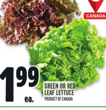 Metro GREEN OR RED LEAF LETTUCE offer