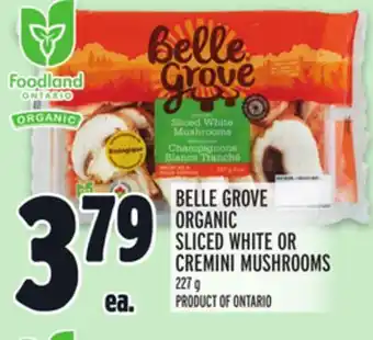 Metro BELLE GROVE ORGANIC SLICED WHITE OR CREMINI MUSHROOMS offer