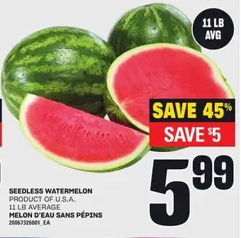 Independent City Market MELON D'EAU SANS PÉPINS, 11 LB AVERAGE offer