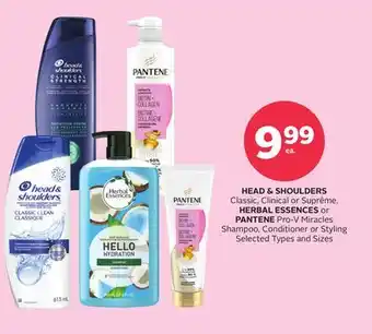 Rexall HEAD & SHOULDERS Classic, Clinical or Suprême, HERBAL ESSENCES or PANTENE Pro-V Miracles Shampoo, Conditioner or Styling offer