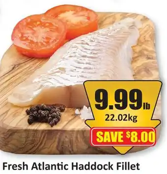Starsky Fresh Atlantic Haddock Fillet offer