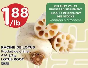 Kim Phat LOTUS ROOT offer