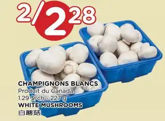 Kim Phat WHITE MUSHROOMS offer