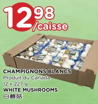 Kim Phat WHITE MUSHROOMS offer