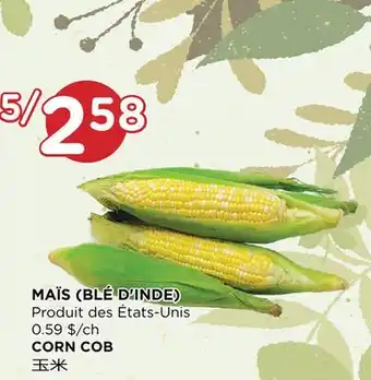 Kim Phat CORN COB offer