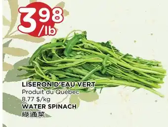 Kim Phat WATER SPINACH offer