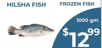 Food World Supermarket HILSHA FISH offer