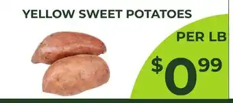 YELLOW SWEET POTATOES