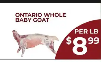 Food World Supermarket WHOLE BABY GOAT offer