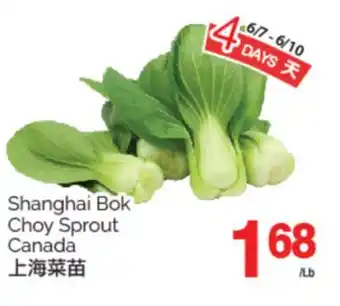 T&T Supermarket SHANGHAI BOK CHOY SPROUT offer