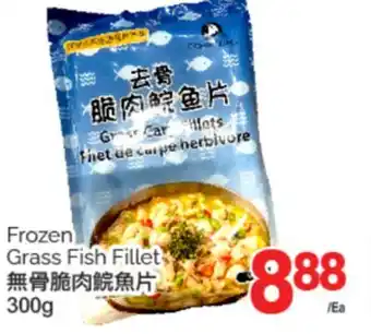 T&T Supermarket FROZEN GRASS FISH FILLET, 300g offer