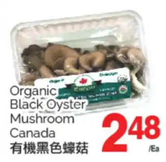 T&T Supermarket ORGANIC BLACK OYSTER MUSHROOM offer