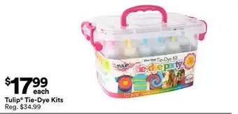 Michaels Tulip Tie-Dye Kits offer