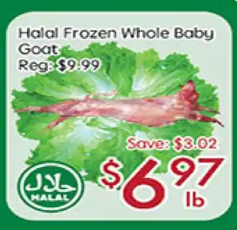Sunny Food Mart Halal Frozen Whole Baby Goat offer