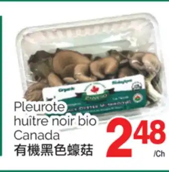 T&T Supermarket PLEUROTE HUÎTRE NOIR BIO CANADA offer