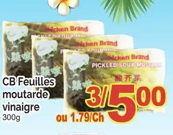 T&T Supermarket CB FEUILLES MOUTARDE VINAIGRE, 300G offer