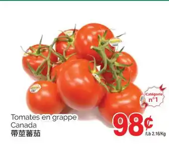 T&T Supermarket TOMATES EN GRAPPE CANADA offer