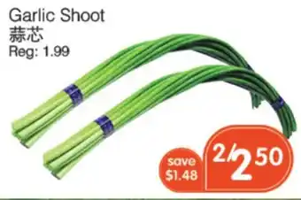 Field Fresh Supermarket Garlic Shoot offer