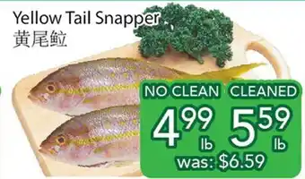 Ample Food Market Yellow Tail Snapper offer