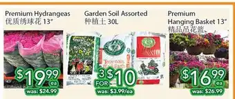 Ample Food Market Premium Hydrangeas offer