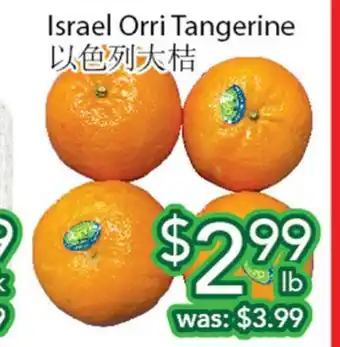 Ample Food Market Israel Orri Tangerine offer