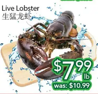 Ample Food Market Live Lobster offer