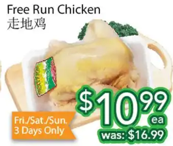 Ample Food Market Free Run Chicken offer