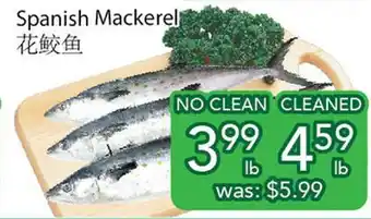 Ample Food Market Spanish Mackerel offer