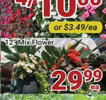 Oceans Fresh Food Market 12 Mix Flower offer