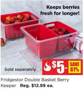 Kitchen Stuff Plus Fridgestor Double Basket Berry Keeper offer
