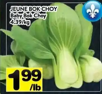 Supermarché PA Baby Bok Choy offer