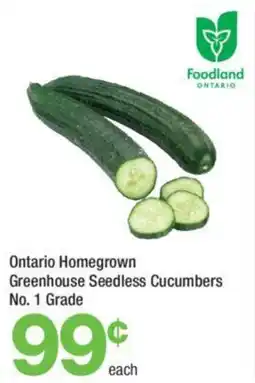Highland Farms Ontario Homegrown Greenhouse Seedless Cucumbers No. 1 Grade offer