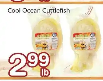 Nations Fresh Foods Cool Ocean Cuttlefish offer