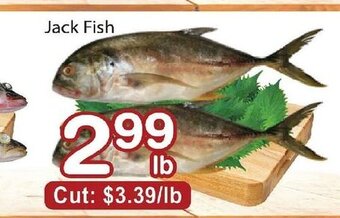 Nations Fresh Foods Jack Fish offer