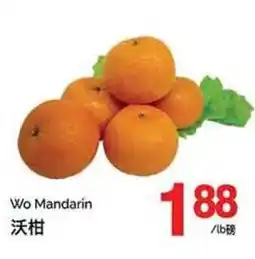 T&T Supermarket Wo Mandarin offer