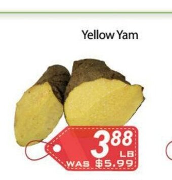 Ample Food Market Yellow Yam offer