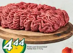 Sobeys Fresh Lean Ground Beef Family Size offer
