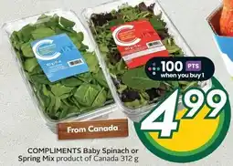 Sobeys COMPLIMENTS Baby Spinach or Spring Mix offer