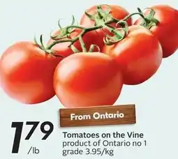 Sobeys Tomatoes on the Vine offer