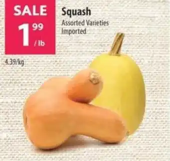 Co-op Squash offer