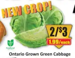 Starsky Ontario Grown Green Cabbage offer