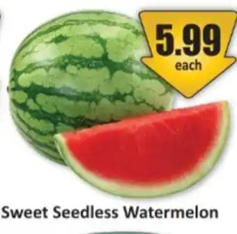 Starsky Sweet Seedless Watermelon offer