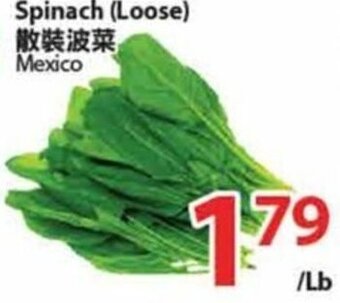 T&T Supermarket Spinach (Loose) offer