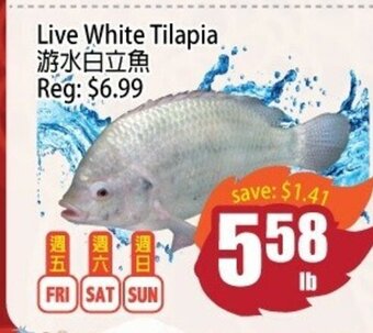 Field Fresh Supermarket Live White Tilapia offer
