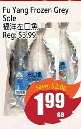Fu Yang Frozen Grey Sole
