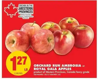 No Frills Orchard Run Ambrosia Royal Gala Apples offer