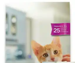 Walmart Purina Kitten Chow 1.8 kg offer